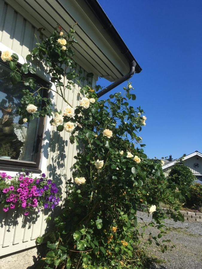 Airbnbekasberg Olofstorp Exteriér fotografie