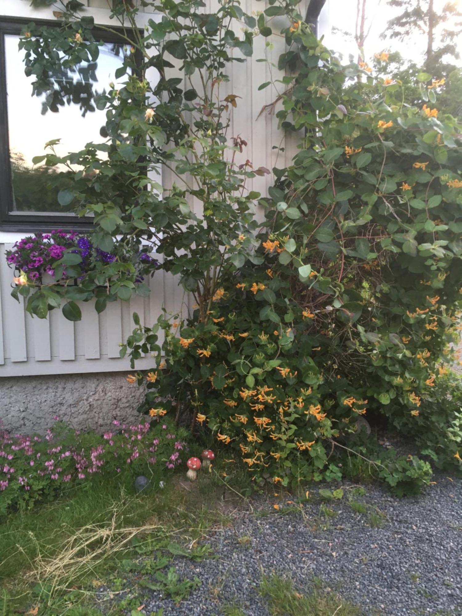 Airbnbekasberg Olofstorp Exteriér fotografie