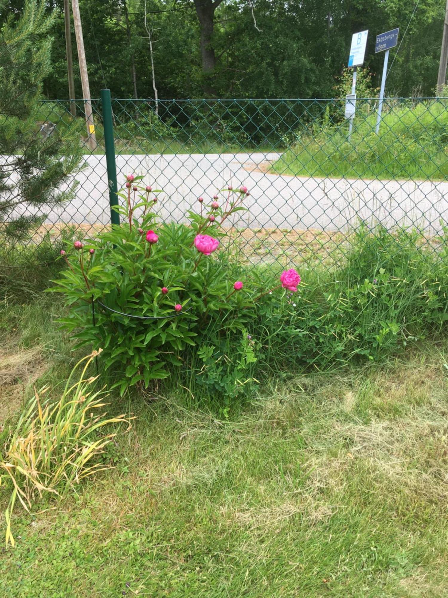 Airbnbekasberg Olofstorp Exteriér fotografie