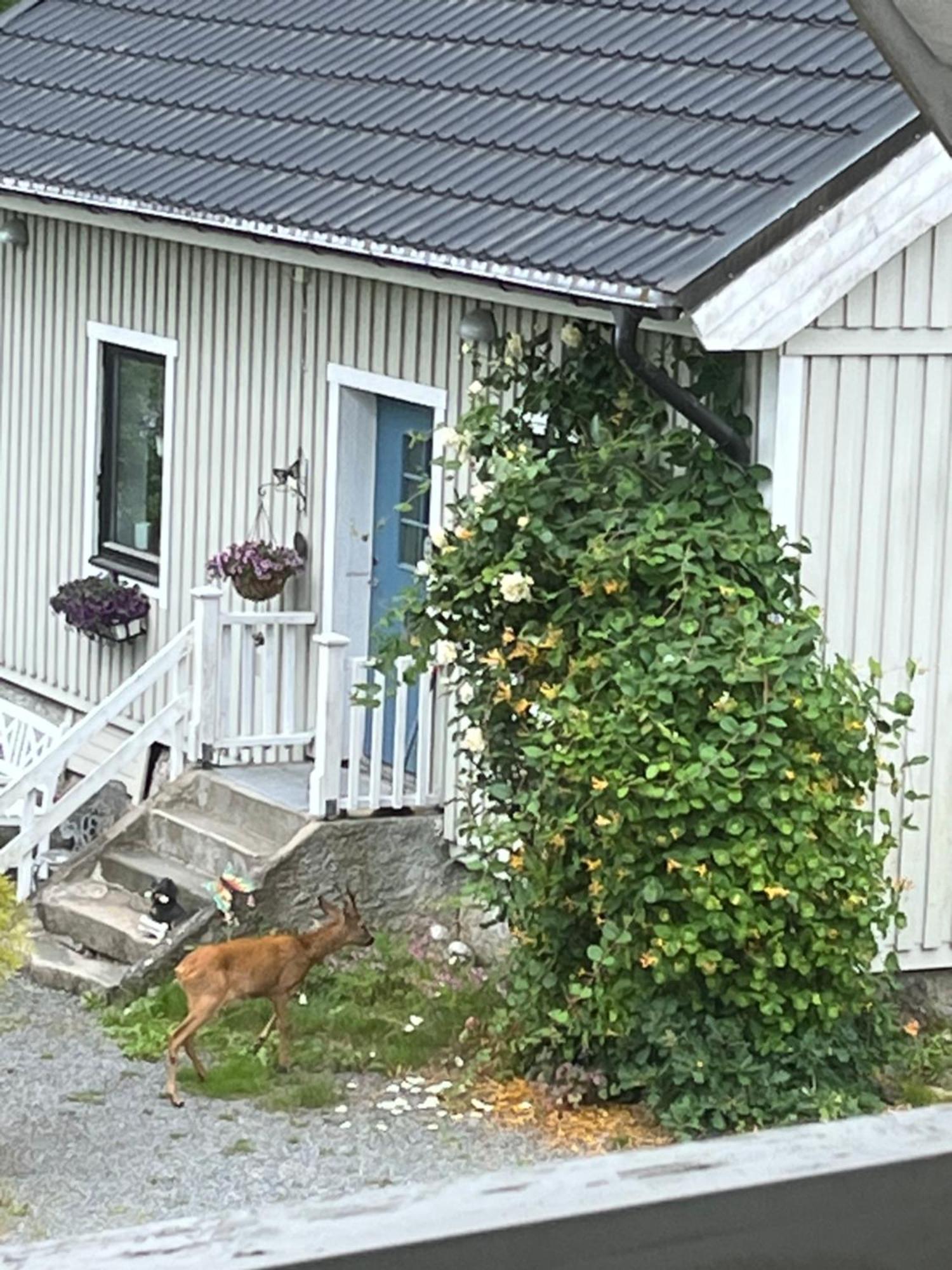 Airbnbekasberg Olofstorp Exteriér fotografie